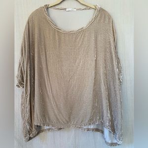 CP Shades Velvet Top
